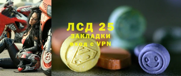 ПСИЛОЦИБИНОВЫЕ ГРИБЫ Абаза