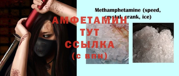 ПСИЛОЦИБИНОВЫЕ ГРИБЫ Абаза