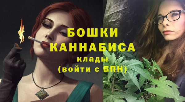 СК Михайловск