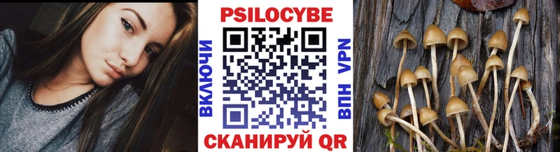 Псилоцибиновые грибы мухоморы  Урус-Мартан 