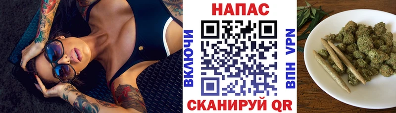 Бошки марихуана сатива  сколько стоит  Урус-Мартан 